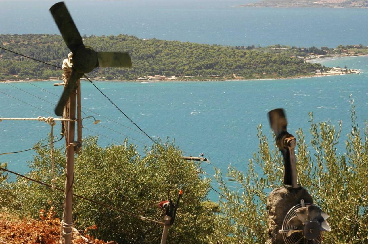 Art Studio Kefalonia Dhavgata Exterior photo
